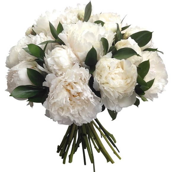 Let's Shop! - Picture 5 of 5